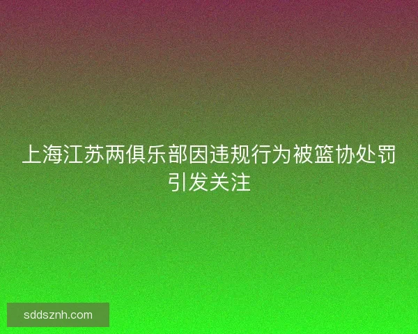 上海江苏两俱乐部因违规行为被篮协处罚引发关注 上海江苏两俱乐部因违规行为被篮协处罚引发关注