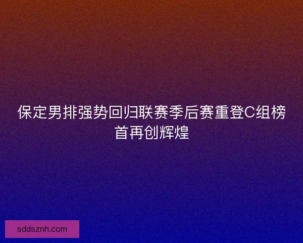 保定男排强势回归联赛季后赛重登C组榜首再创辉煌