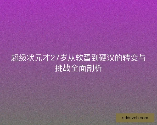 超级状元才27岁从软蛋到硬汉的转变与挑战全面剖析
