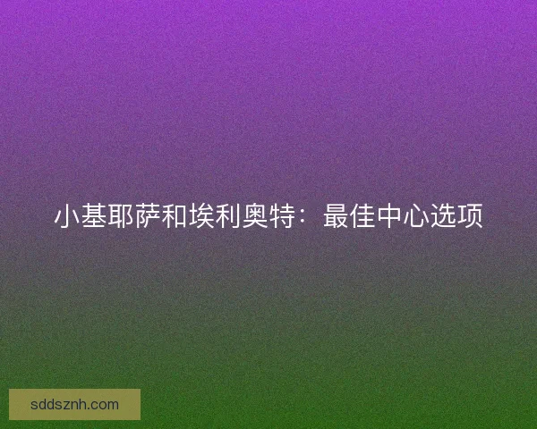 小基耶萨和埃利奥特：最佳中心选项